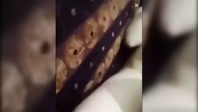 أذربيجانيون يسربون سكس نار على الإنترنت